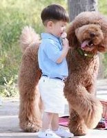 试管婴儿促排卵可以打麻药吗(试管婴儿生产风险大吗)