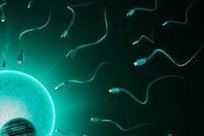 输卵管积水还能做试管婴儿吗？试管婴儿的条件是什么？