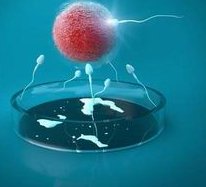 江西赣州试管婴儿怀孕生子机构_高成率生孩子_赣州市第三方助孕生子公司