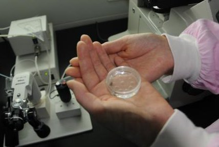 第三代试管助孕生子多少费用，三代试管生孩子价格表