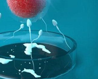 安徽有哪些专业的试管婴儿医院，快来看看吧